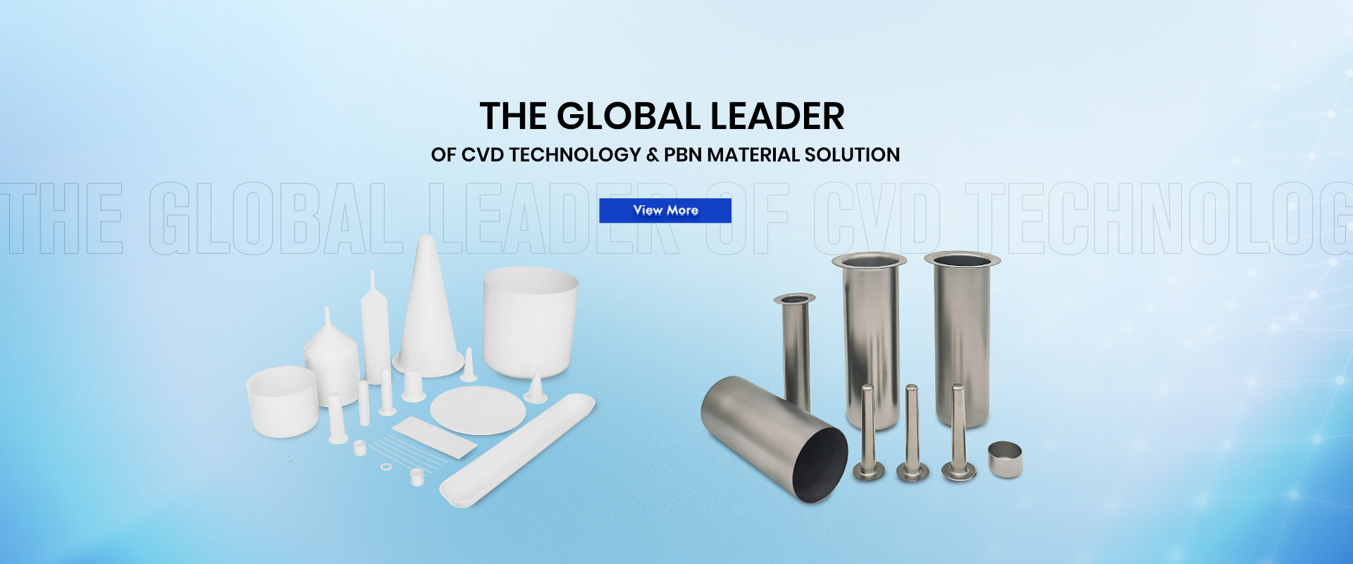 THE GLOBAL LEADER